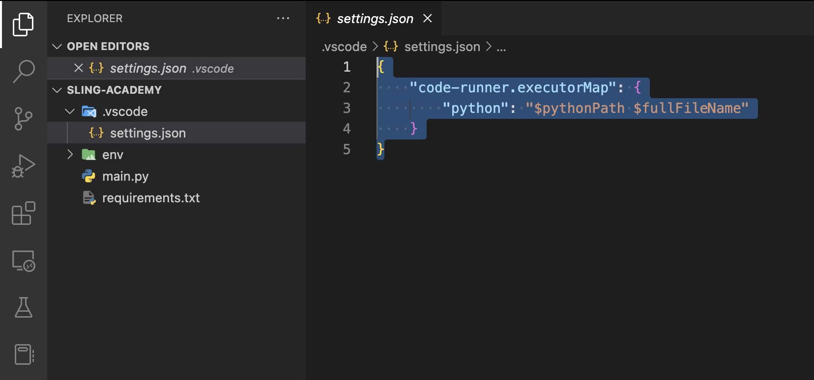 python code runner app